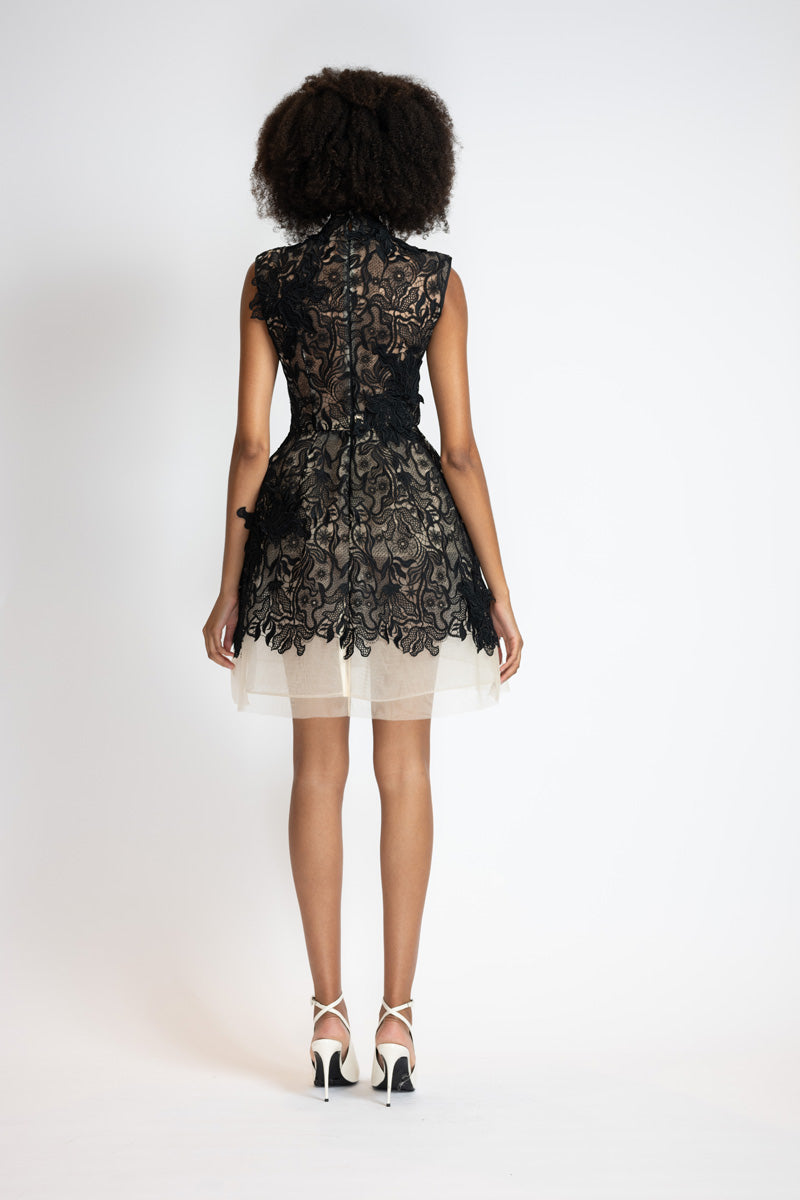 Black Nomad Lace and Blush Tulle Dress with Bell Skirt