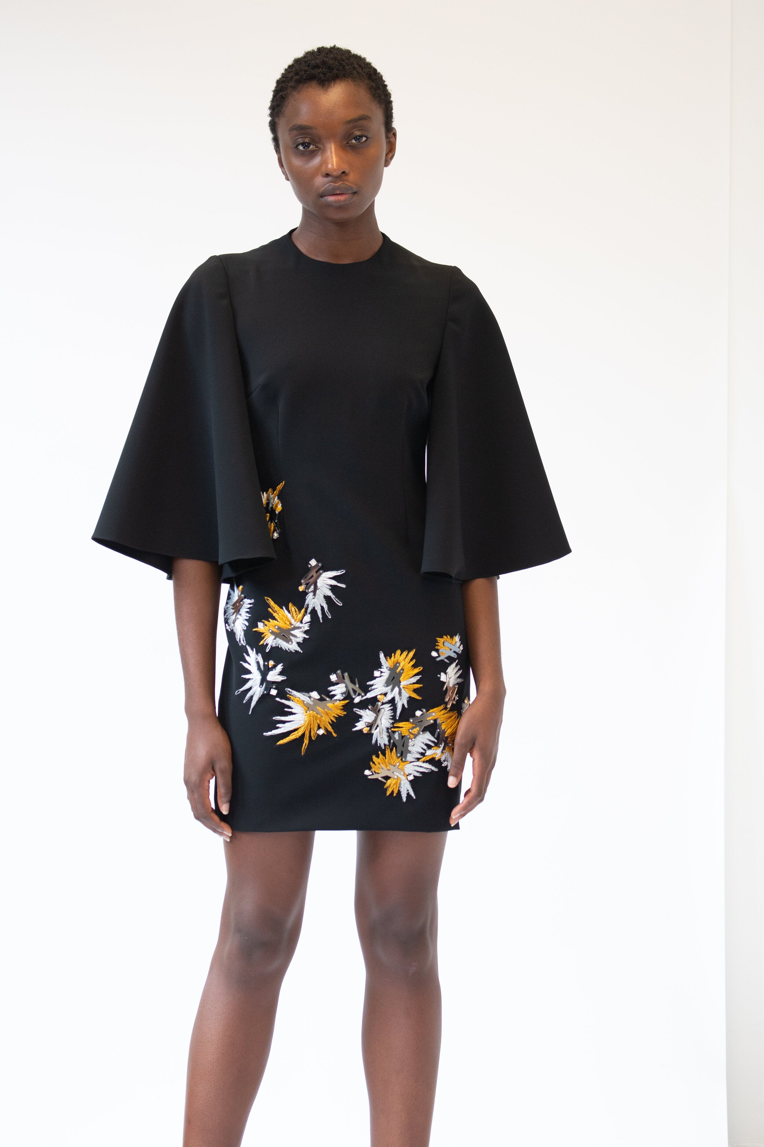 Laser Cut B Mirror and Raffia Embroidered Bell Sleeve Mini Dress 5