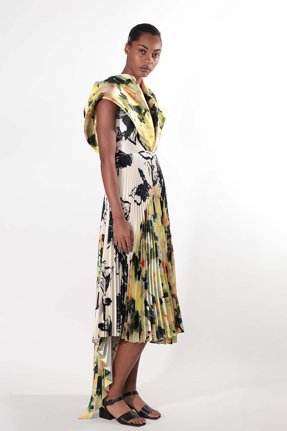 Mixed Print Dress with Draped Wings and Pleated Skirt 2