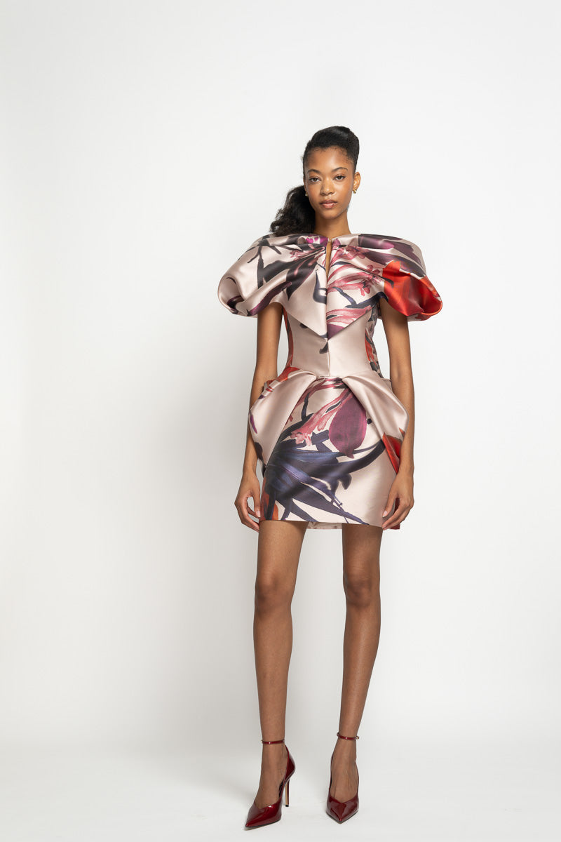 Rose Lata Print Barathea Mini Dress with Moulded Details 2