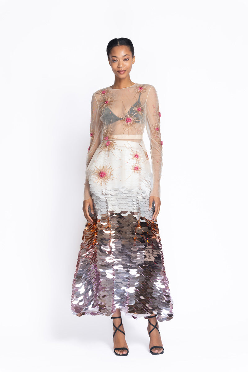 Solares Embroidered Tulle Top 2