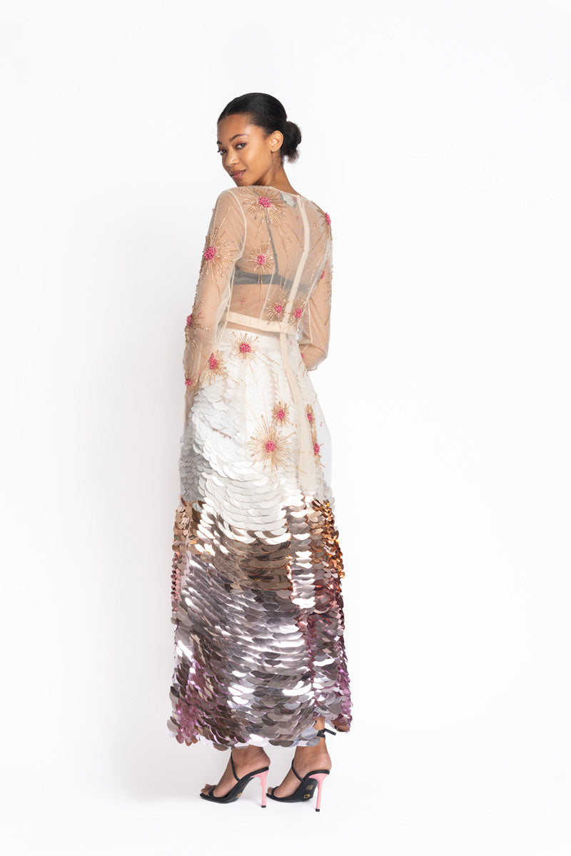 Solares Embroidered Tulle Top 4