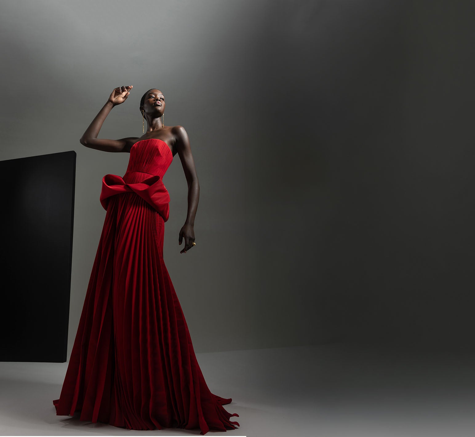 Botanical Organza Jacquard Dress with Pleated Skirt and Asymmetrical H